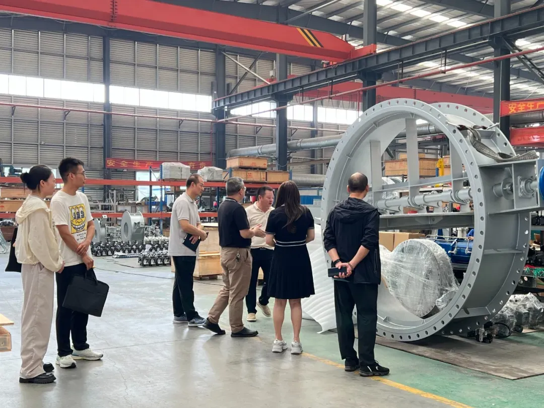 202508015276.png 202508015276.png